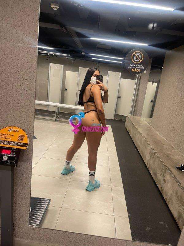 Transex acompanhante Bernardino de Campos,  Alice Evangelista