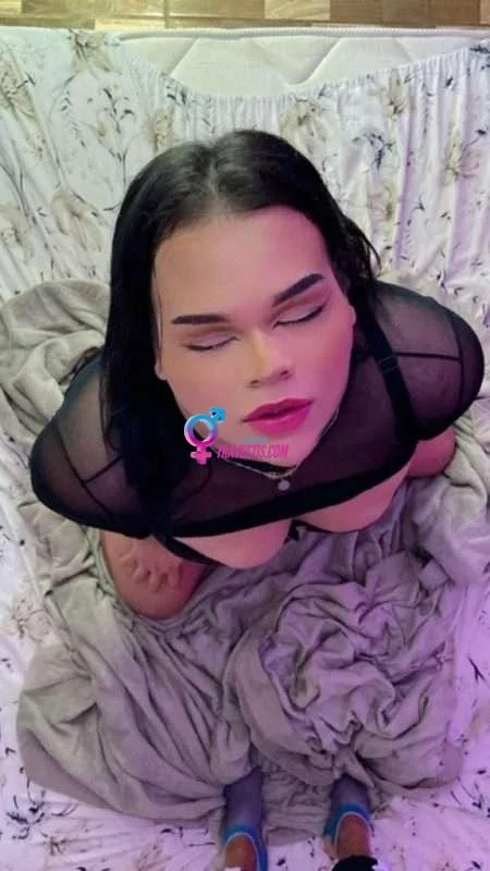 Transex acompanhante Sumaré,  Angel Loved