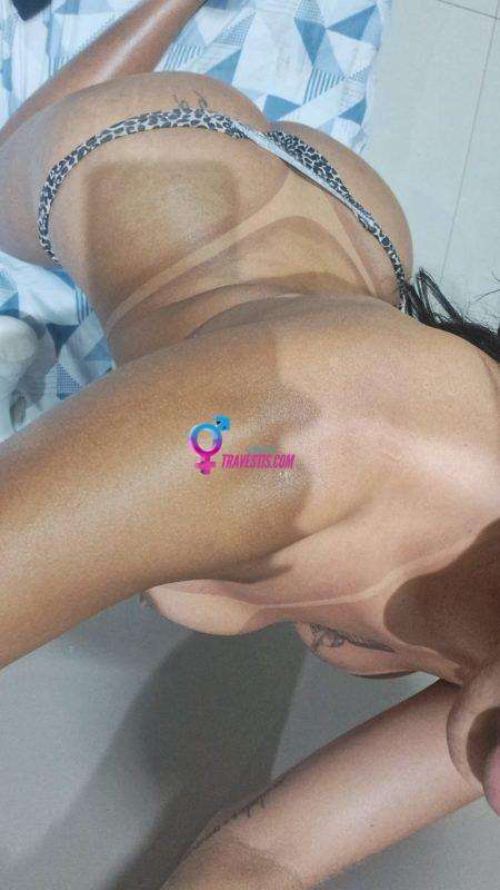 Transex acompanhante Itaquaquecetuba,  Índia Novinha