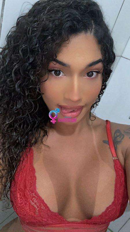 Transex acompanhante Salvador,  Novinha Cacheada