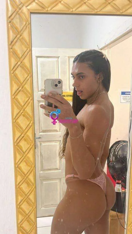 Acompanhantes em Feira de Santana