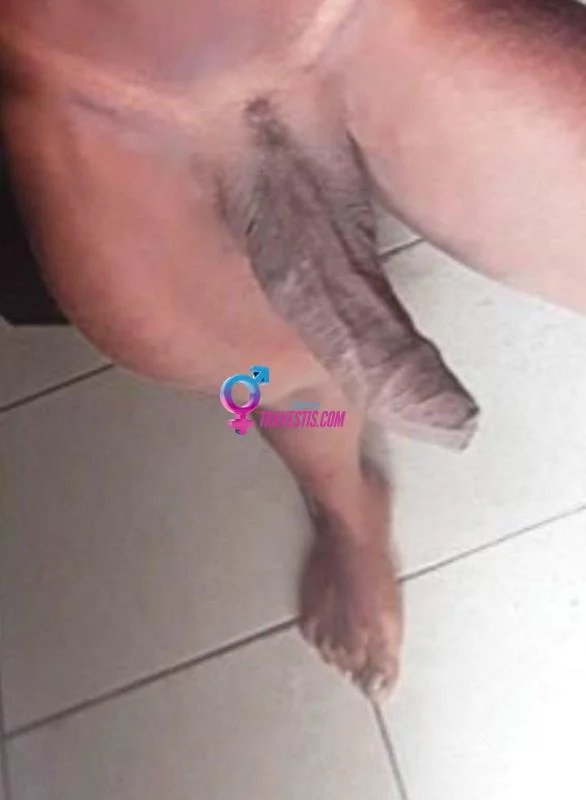 Transex acompanhante Balneário Camboriú,  Pérola Dotada