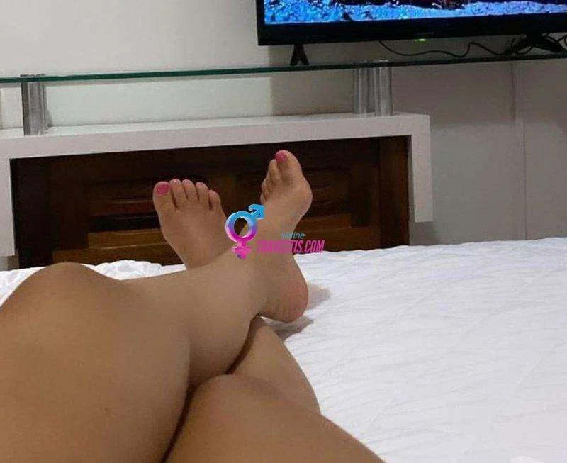 Acompanhantes em Araucária