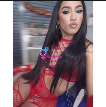 Transex acompanhante Santo André,  Thayara Cruz