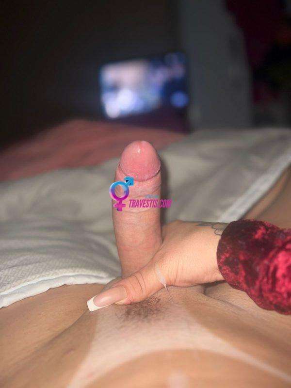 Transex acompanhante Salvador,  Valentinna Gabrielly