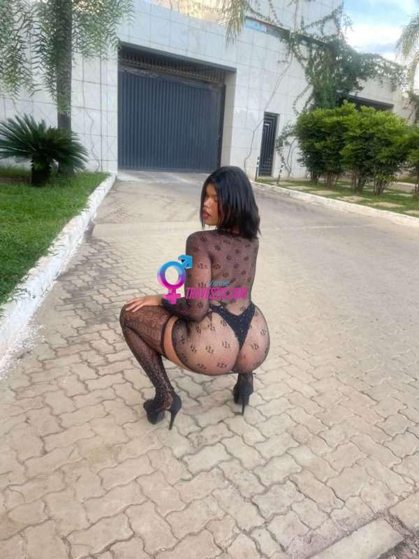 Transex acompanhante Curitiba,  Vivian Sereia