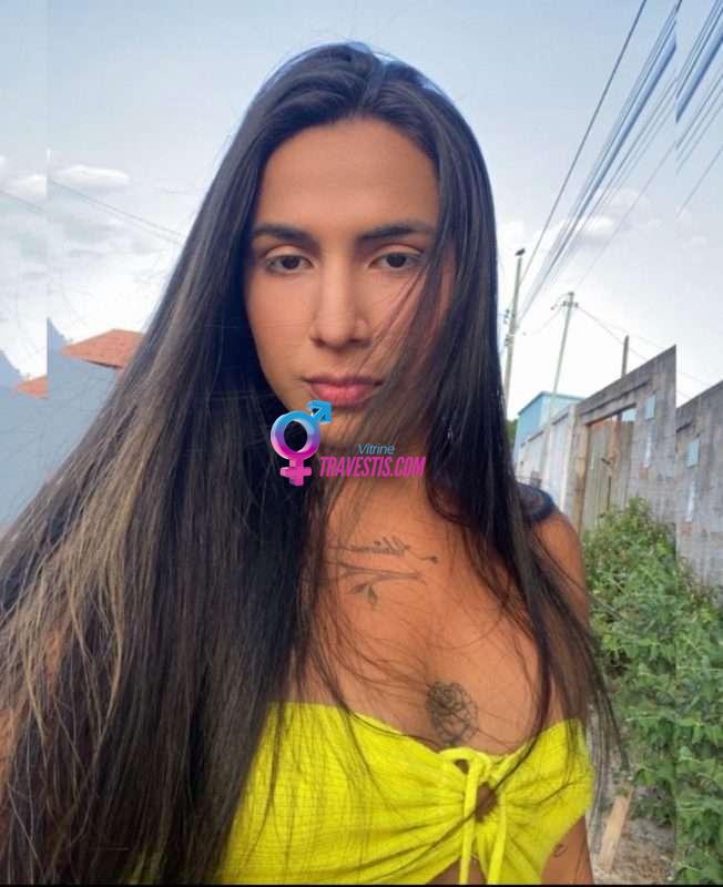 Transex acompanhante Salinópolis,  Waylla Coimbra - Sem Local